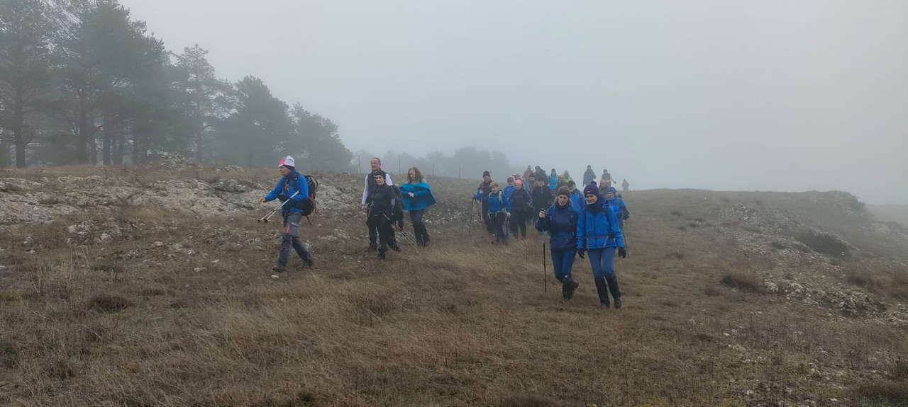 WhatsApp Image 2026-02-10 at 14.47.44 (6)